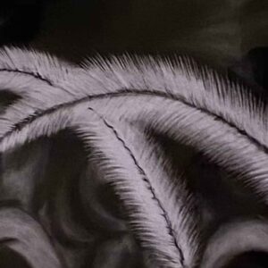 Whisper of Feathers